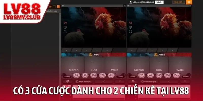 Có 3 cửa cược dành cho 2 chiến kê tại LV88